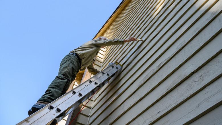 Man painting or sealing siding from an extension ladder