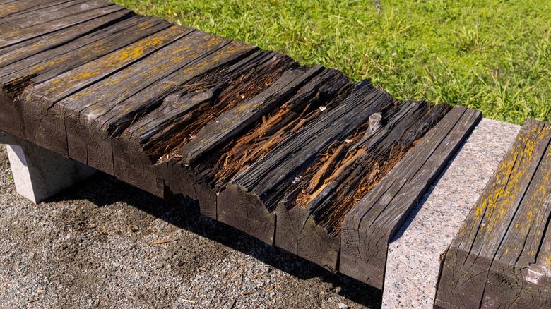 rotted wood on bench