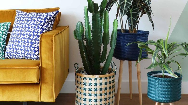 yellow velvet sofa in living room