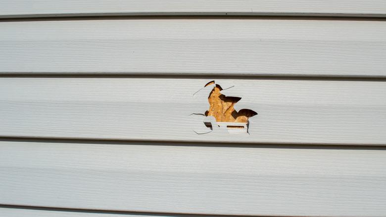 Hole in vinyl siding