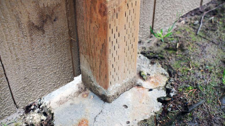 wooden post on concrete slab