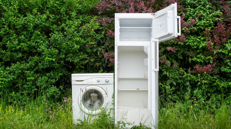 Used refrigerator and laundry machine sitting outside