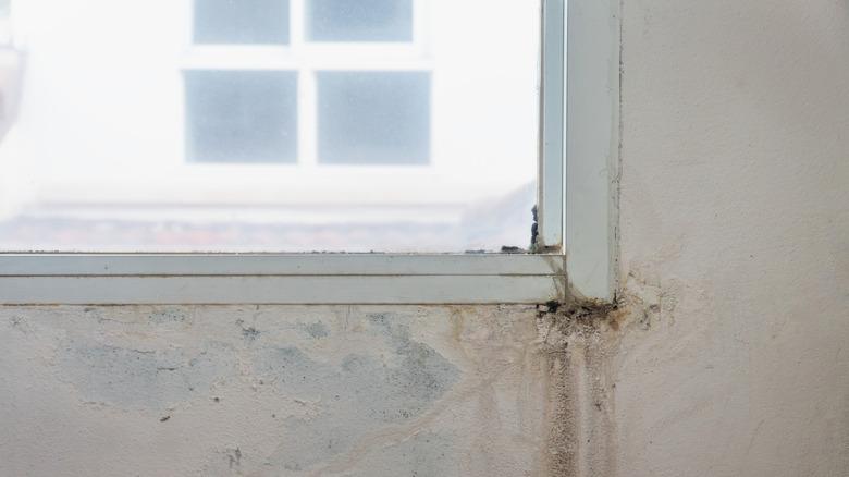 Window leaking onto wall