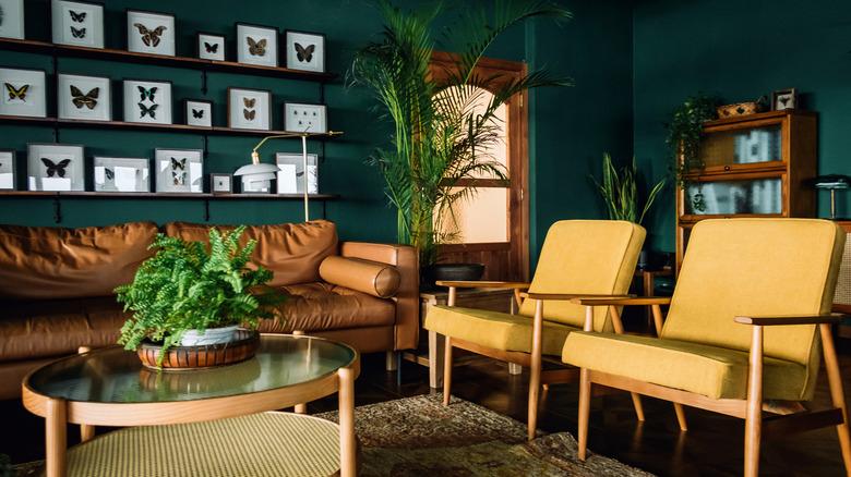 A dark green-painted room with natural wood accents and a handful of indoor plants. A leather sofa and two yellow chairs sit around a circular coffee-table. Butterfly art is displayed on shelves.