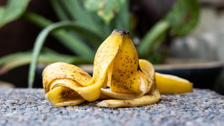 Banana peel in garden