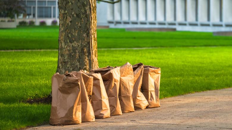 A line of brown yard waste bags left on a sidewalk, ready for pick up