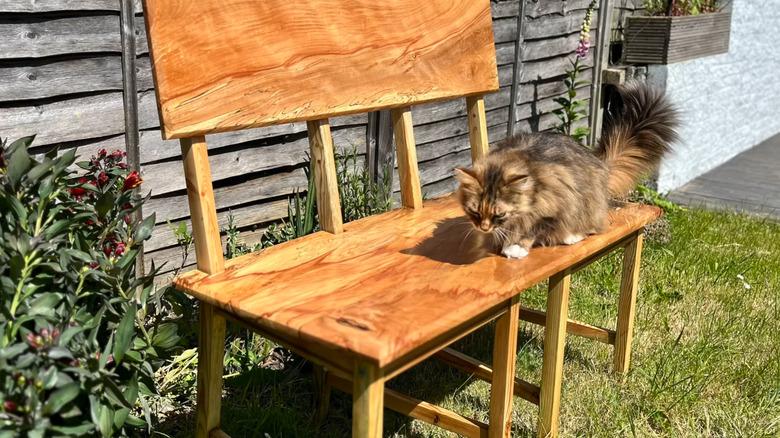 Rustic bench made from two rickety chairs