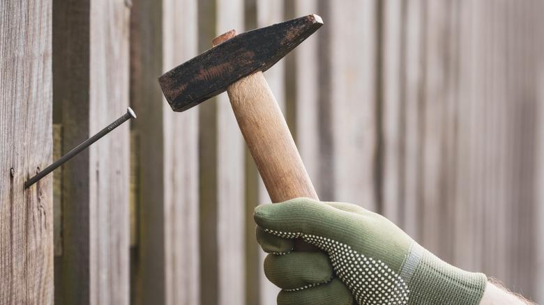 nail getting hammered into fence