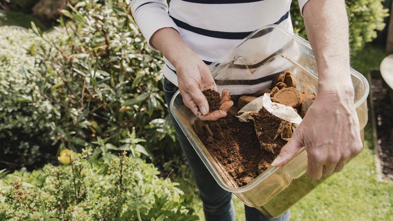 woman adding coffee to plants