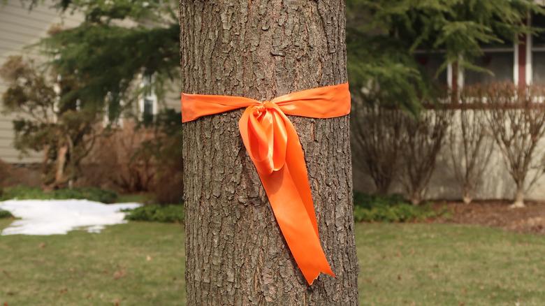 orange ribbon on tree