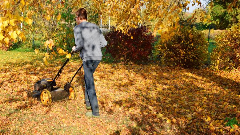 person mulching leaves