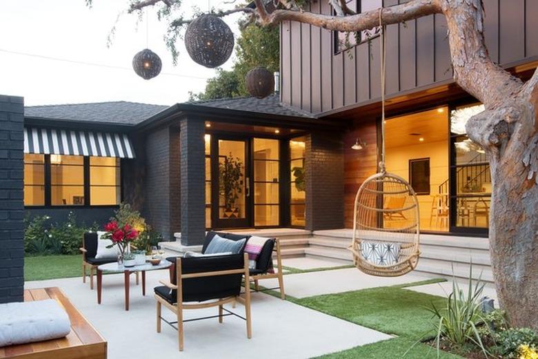 Japanese elm tree in backyard of modern home