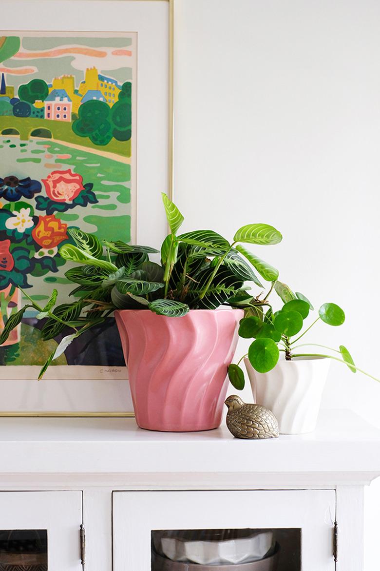 Pink Potted Plant for an easy Pop of Pink