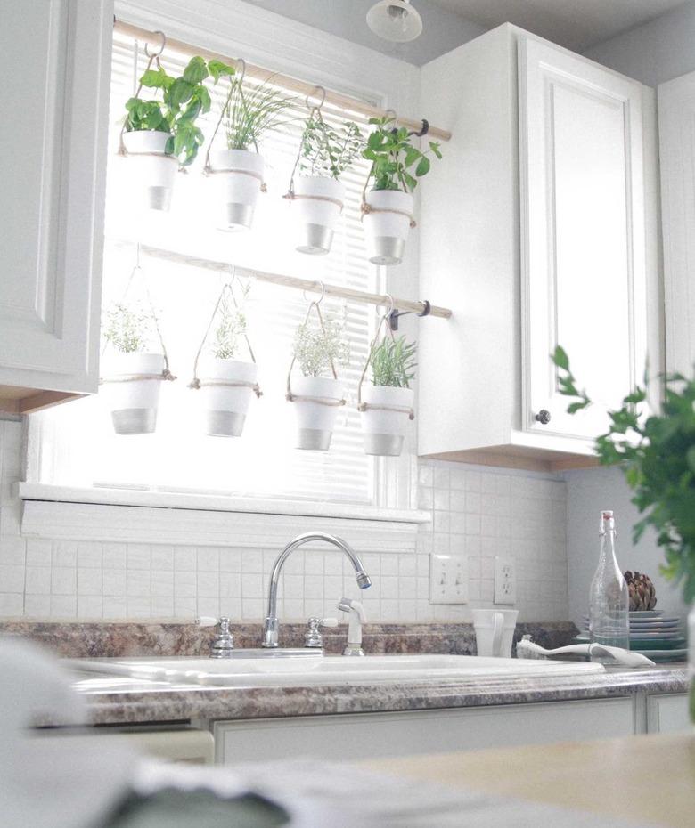 hanging herbs in kitchen window