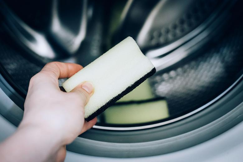 Putting sponge in washing machine to clean