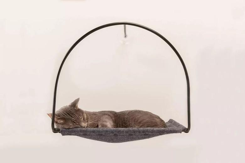 cat hammock