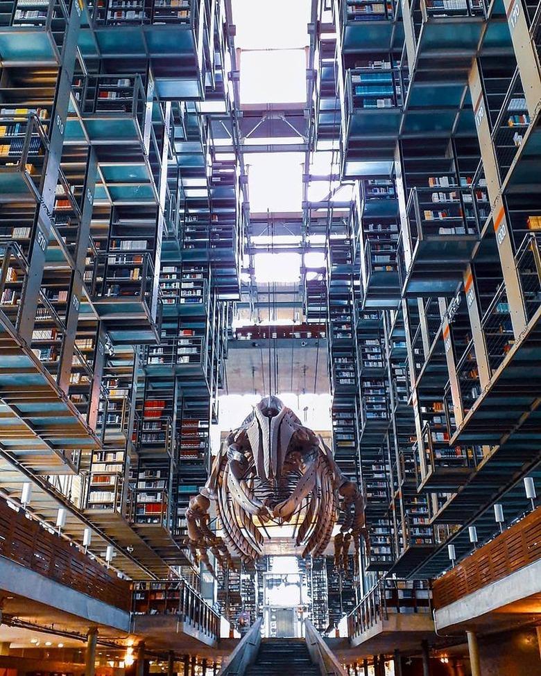 picture of bookshelves at the biblioteca vasconcelos in mexico city