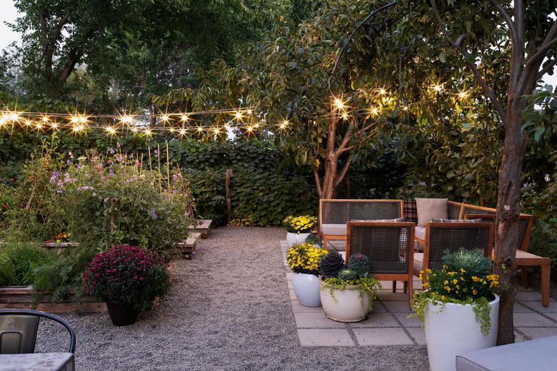 backyard garden at night