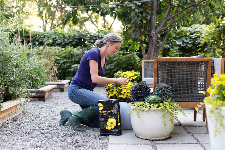 woman planting flowers