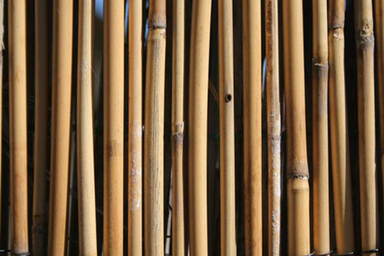 bamboo fence