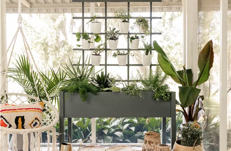 Spruce up your patio or balcony with a vertical garden wall