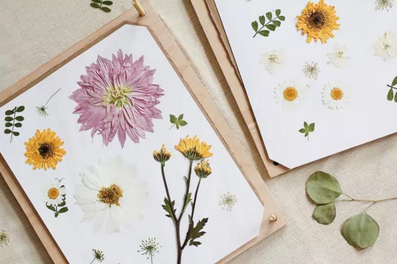 DIY flower press