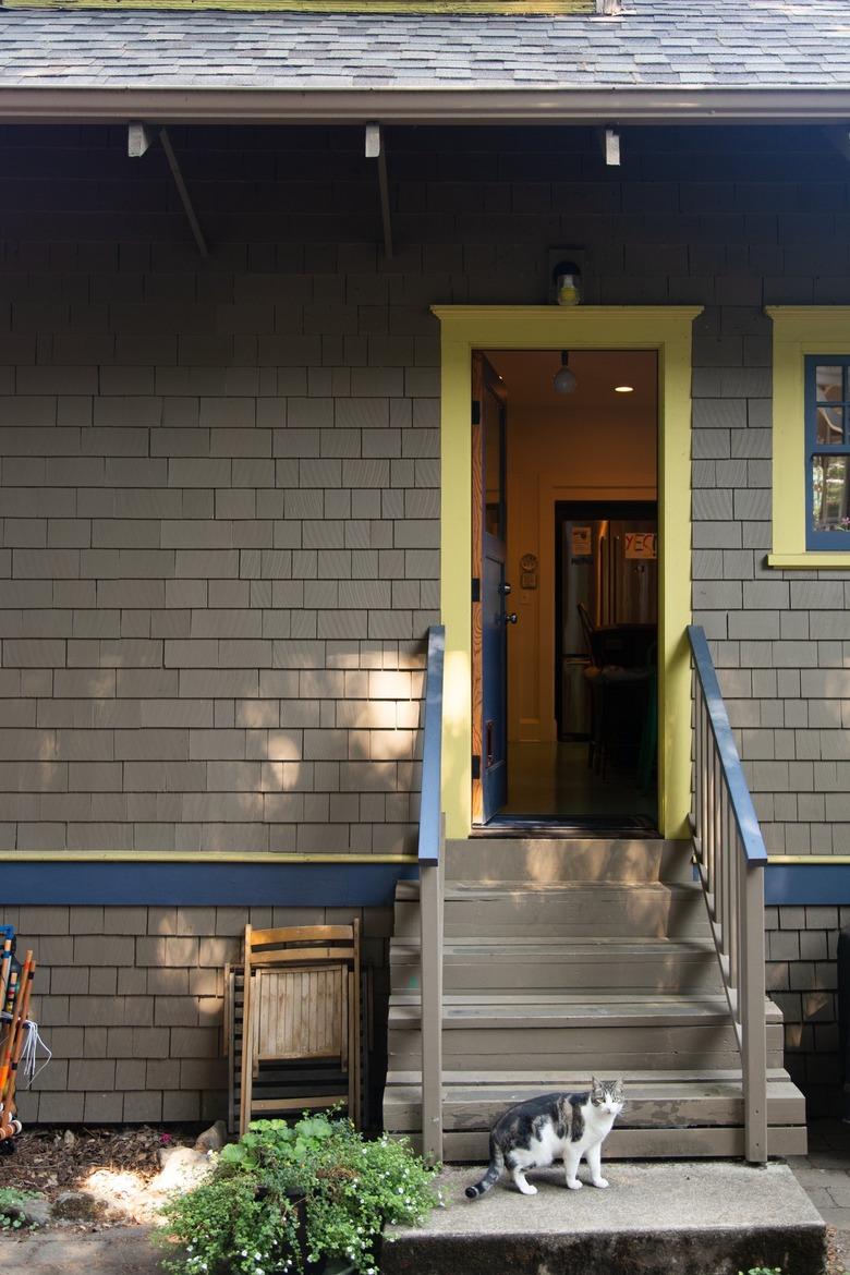 A cat by the steps of a gray house, with blue and yellow accents.