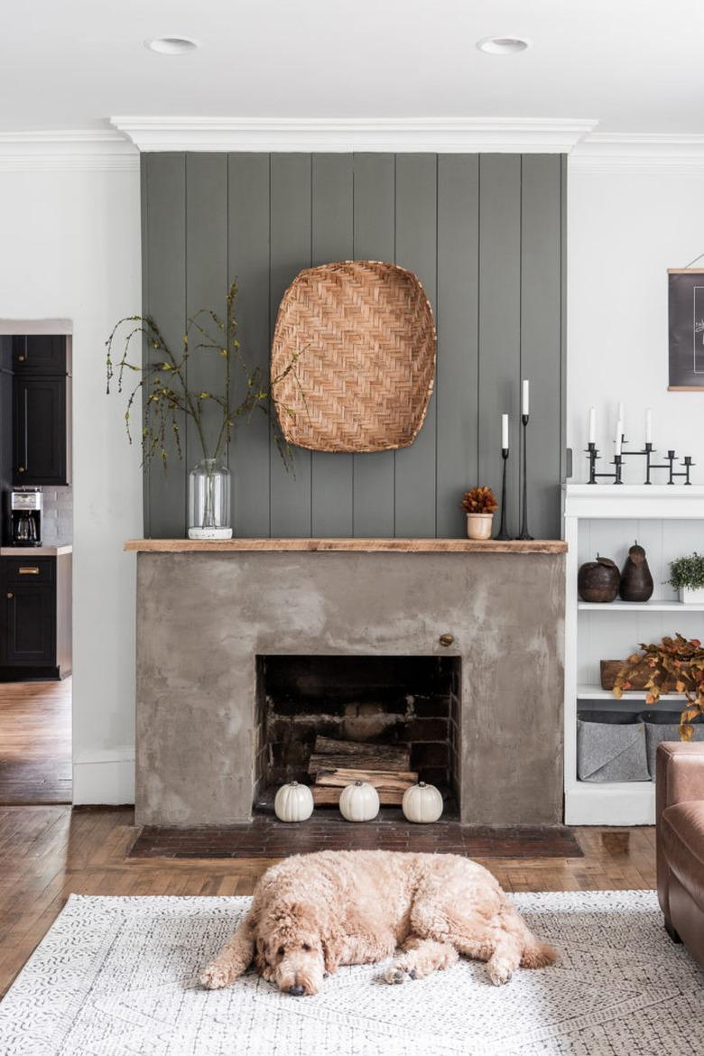 Living room with concrete fireplace, basket over mantel, rug, dog.