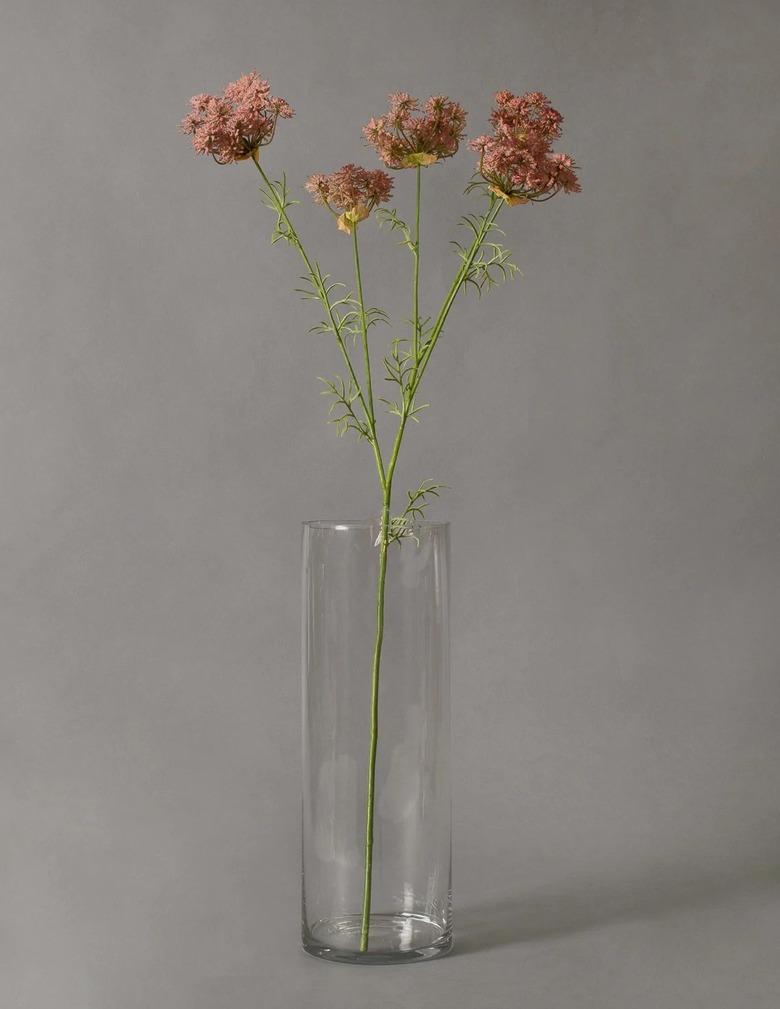 queen anne's lace in glass vase