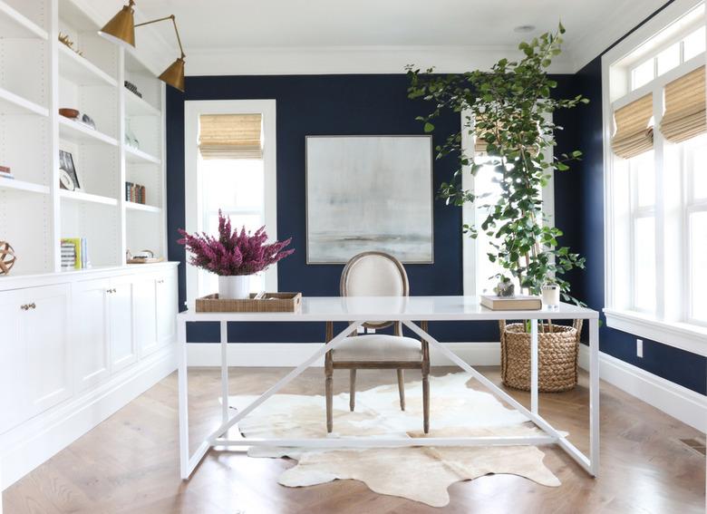 office space with white book shelves and white table and large plant