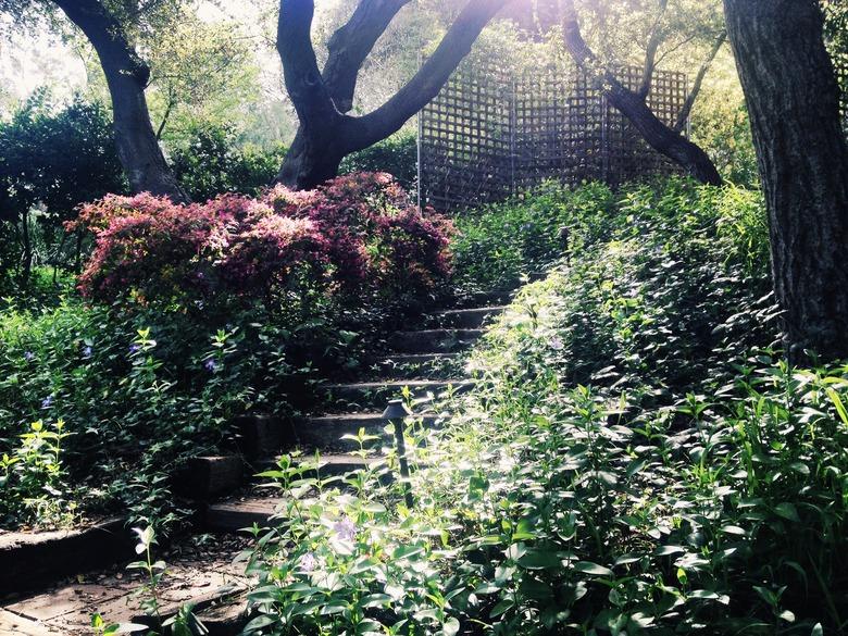 Magical stairs and garden in the forest