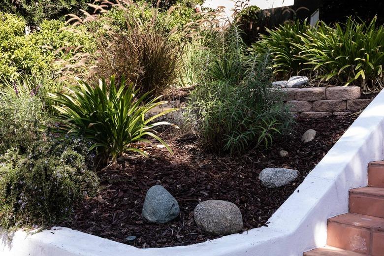 front yard flower bed with plants and rocks