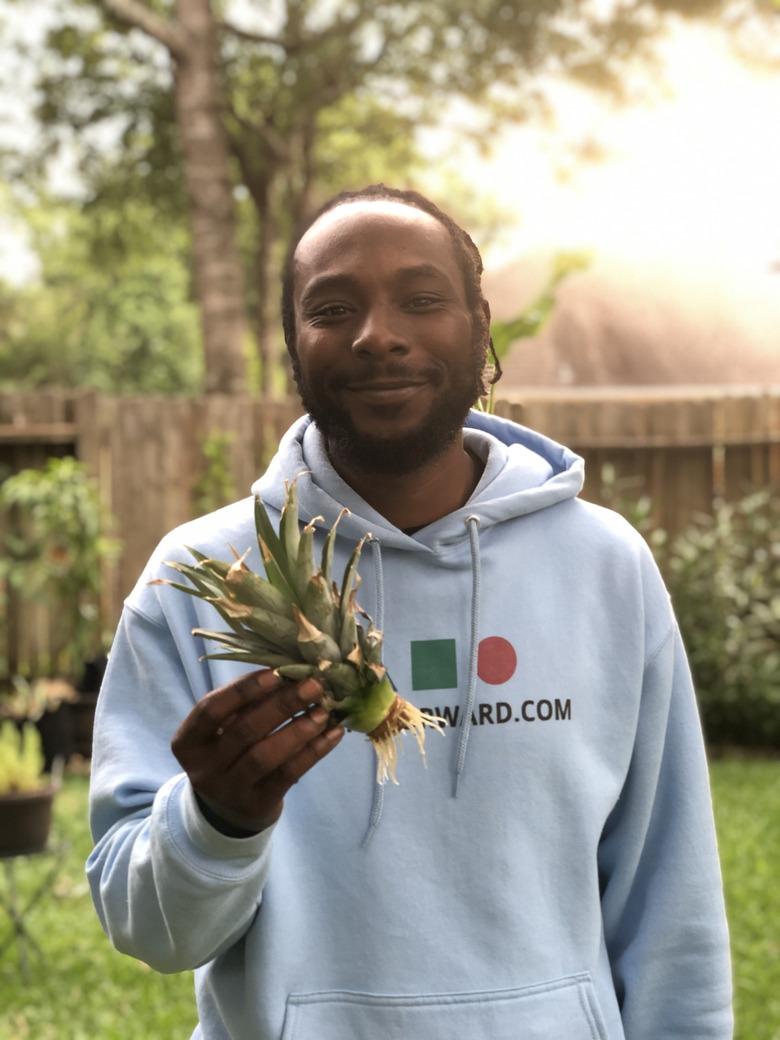 figure in backyard holding a pineapple top