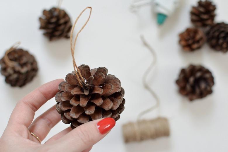 Hand holding a pinecone with twine