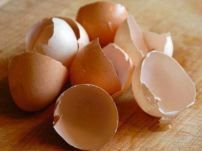 Empty eggshells.