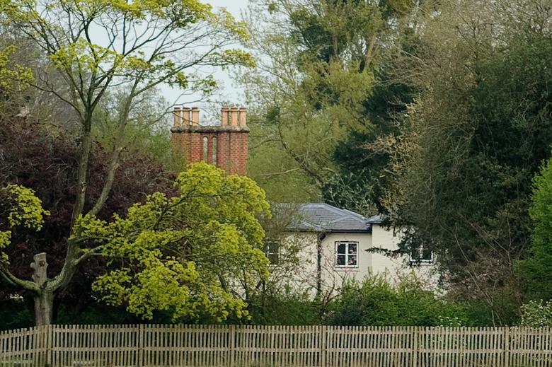 Frogmore Cottage nestled in the trees behind a fence