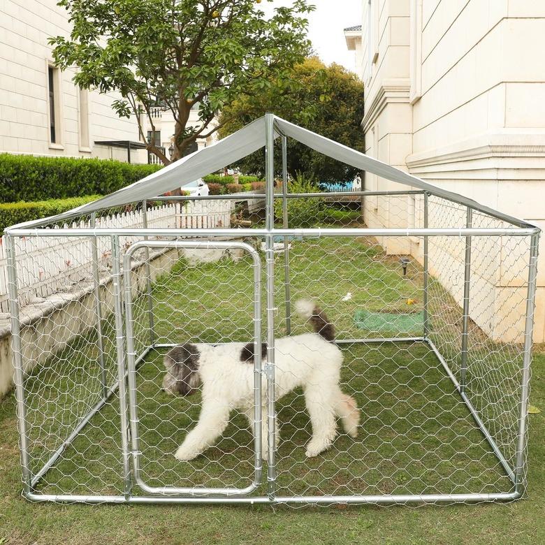 A white dog in an outdoor dog run