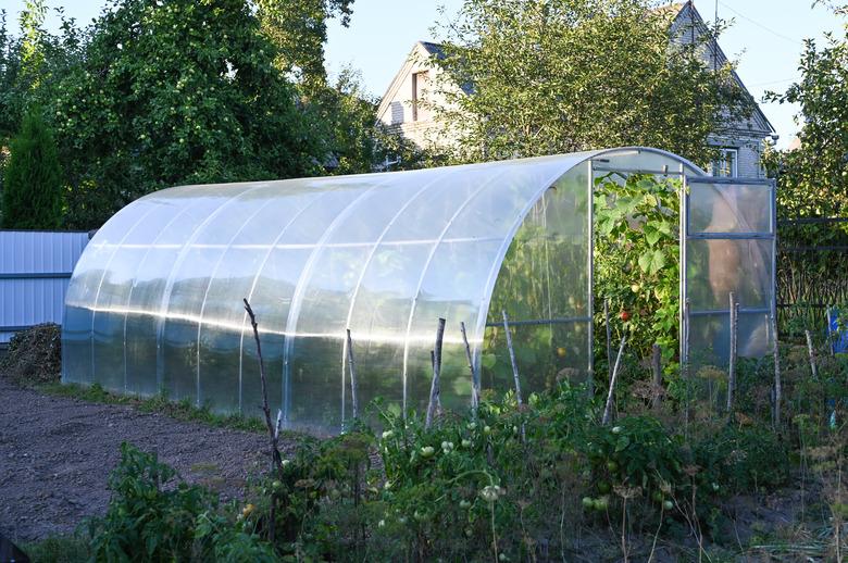 polycarbonate greenhouse on the site