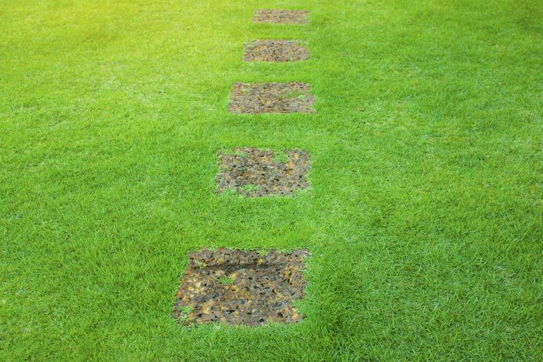 Smooth zoysia grass lawn with stepping stones.