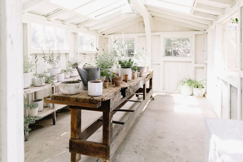 Interior of a white green house with a rustic wood table, plants, and planters.