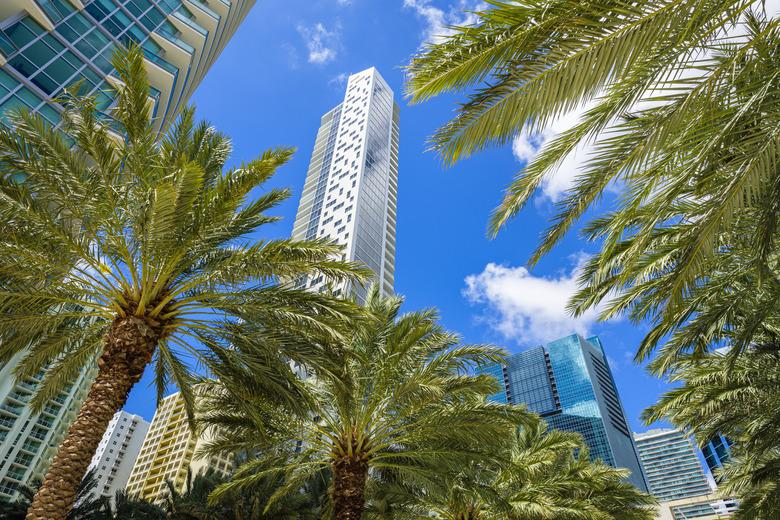 Downtown Miami Brickell