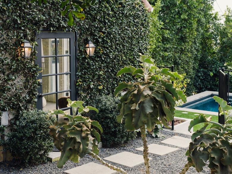 lush greenery in backyard with stone and gravel walkway to pool area