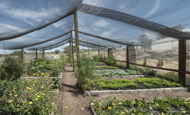 Net Shade greenhouse