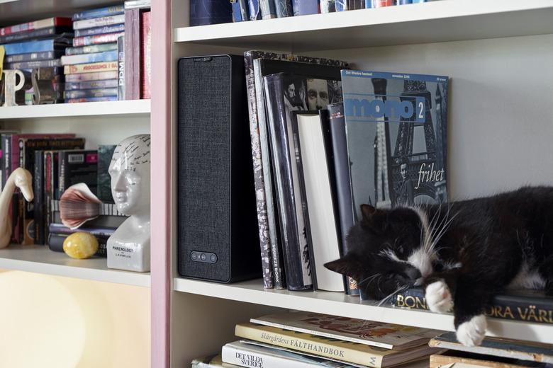 bookshelf with cat, books, and speaker