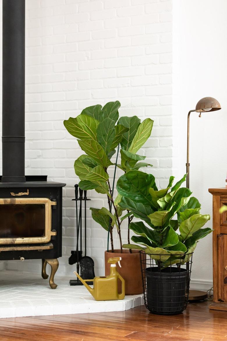 industrial farmhouse black antique stove with potted plants and industrial lamp on wood floor