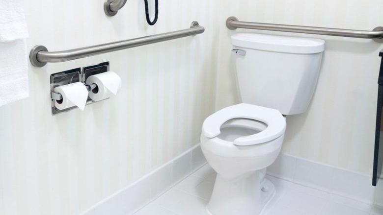 Toilet with grab bars.