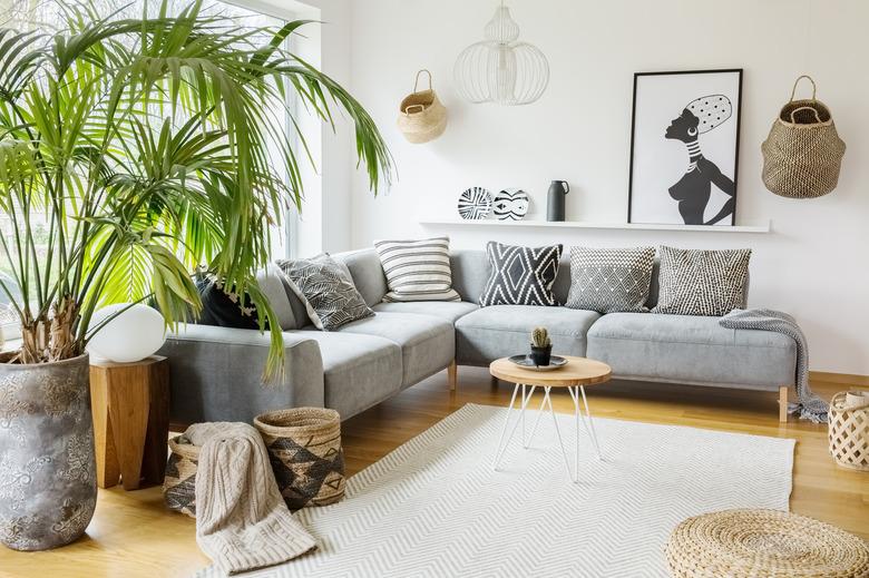 Plant next to grey corner sofa in african living room interior with poster and pouf. Real photo