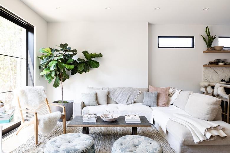 A white-walled living room with gray-white furniture, a tree plant and large window