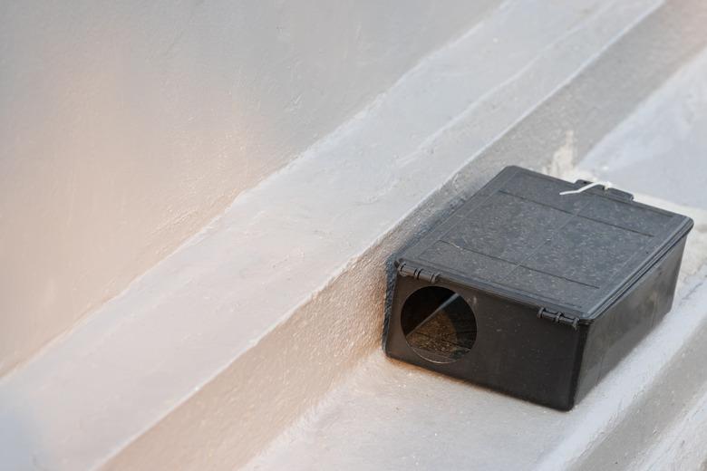 A black plastic rat trap on concrete floor. bait poison box for rat.