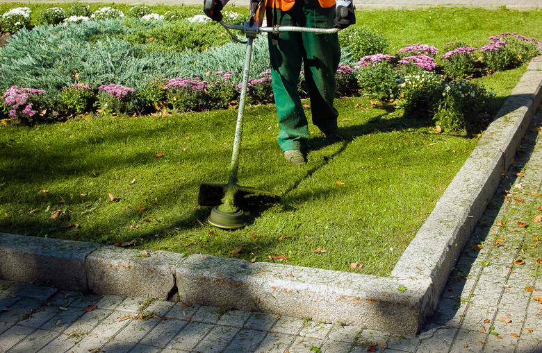 Autumn work in the park. The gardener cuts the grass before winter.